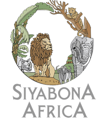 http://malamala.krugerpark.co.za